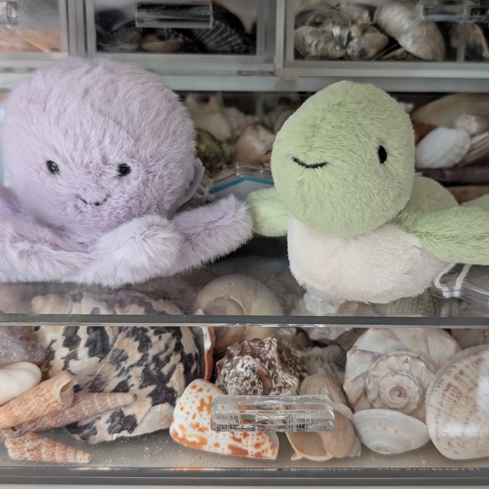 Jellycat fluffy turtle and fluffy octopus